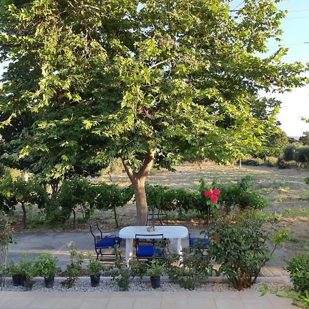Swan House Panoramic View - Near The Sea Villa Ziparion Bagian luar foto