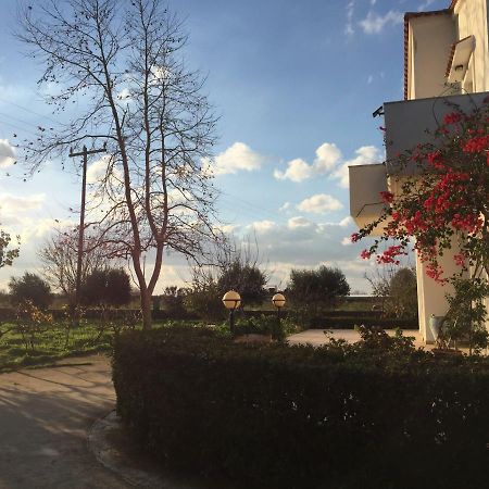 Swan House Panoramic View - Near The Sea Villa Ziparion Bagian luar foto