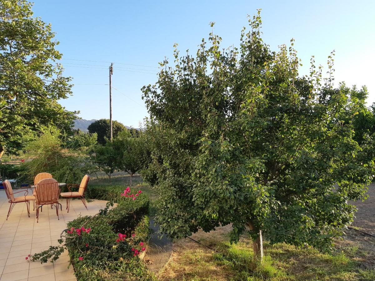Swan House Panoramic View - Near The Sea Villa Ziparion Bagian luar foto