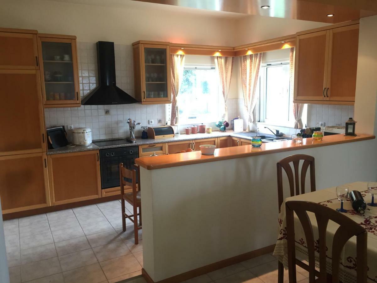 Swan House Panoramic View - Near The Sea Villa Ziparion Bagian luar foto